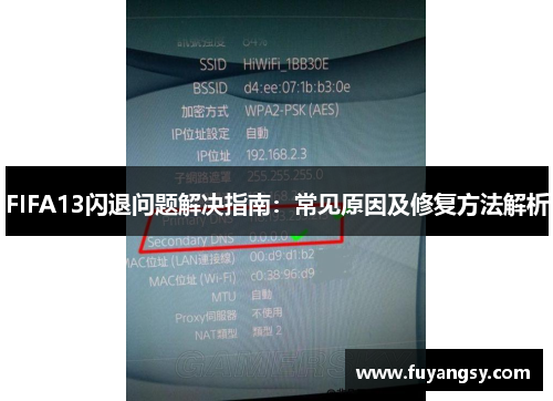 FIFA13闪退问题解决指南：常见原因及修复方法解析